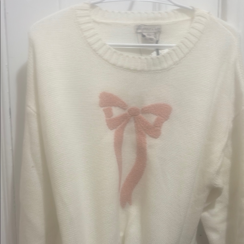Sincerely Jules Cream and Pink Crew Neck Sweater